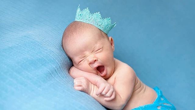 Секреты Профессионального Творца