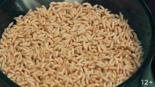 Антибиотики нового поколения | Охотники за наукой #8 смотреть онлайн