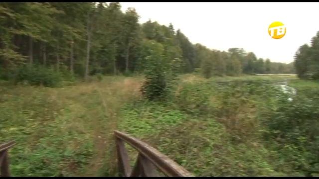 Усадьба "Знаменское - Раек" превращается в руины. 2016-08-23 смотреть онлайн
