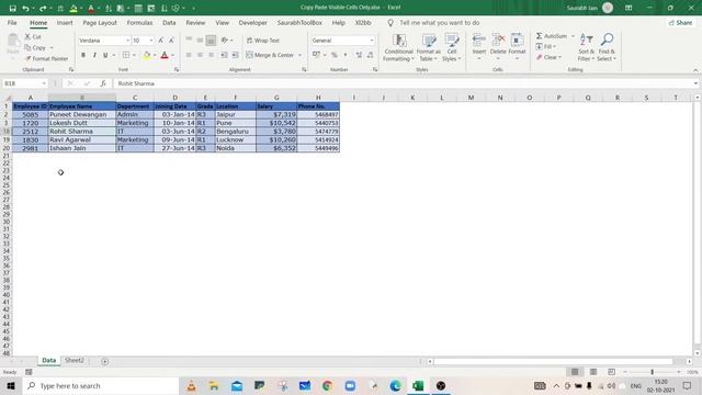 How to Copy and Paste Visible Cells only in Excel смотреть онлайн