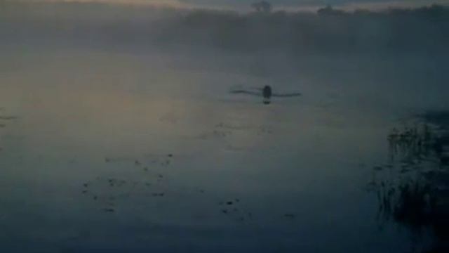 Силуэты в контражуре - Silhouettes in kontrazhure смотреть онлайн