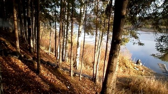 Золотое дно для рыбалки. 26 октября 18г. Сухона река. 18+. смотреть онлайн