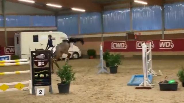 SA Stables " Championess " 9y by Champion de Lys/Cornet Obolensky 135m Nettetal смотреть онлайн