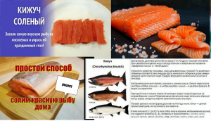 Кижуч - разделываем, солим, жарим, варим.