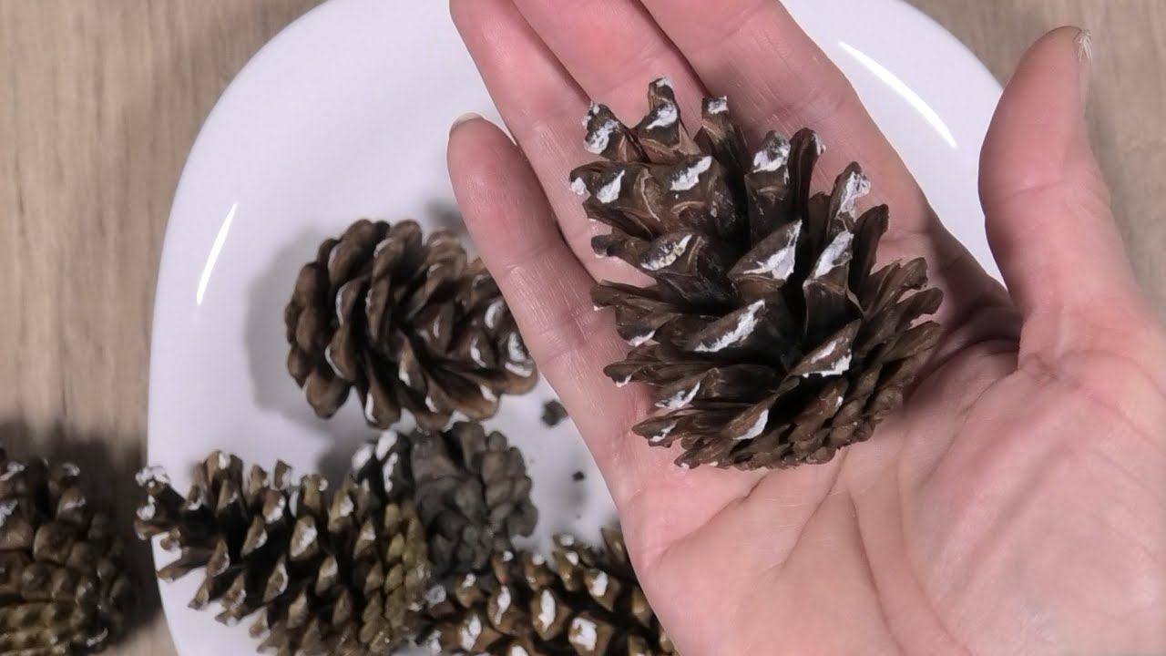 Как быстро раскрыть еловые шишки для поделок и декора смотреть онлайн