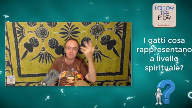 I GATTI cosa rappresentano a livello spirituale? - Daniele Penna Risponde смотреть онлайн