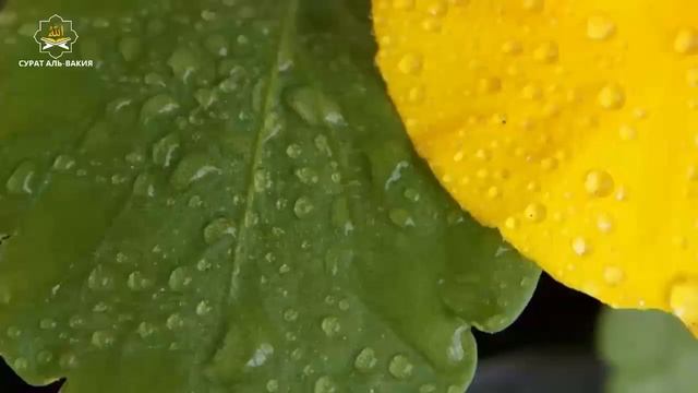 САМАЯ СИЛЬНАЯ Дуа, быстро привлечь деньги и богатство, погасить долг, слушать каждый день смотреть онлайн