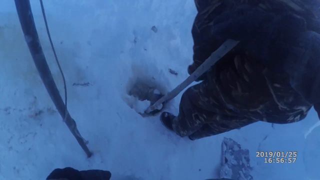 Рыбалка. Налим. 25.01.2019. смотреть онлайн
