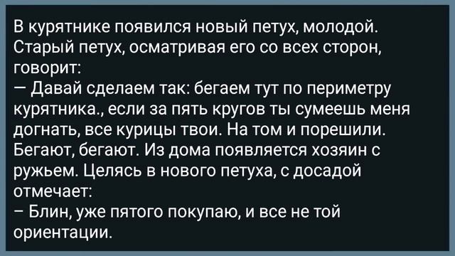 Теща Залезла Под Кровать к Молодым! Сборник Свежих Анекдотов! Юмор! смотреть онлайн