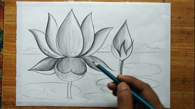 how to draw a lotus flowers very esy step with pencil for beginners,pencil sketch scenery drawing, смотреть онлайн