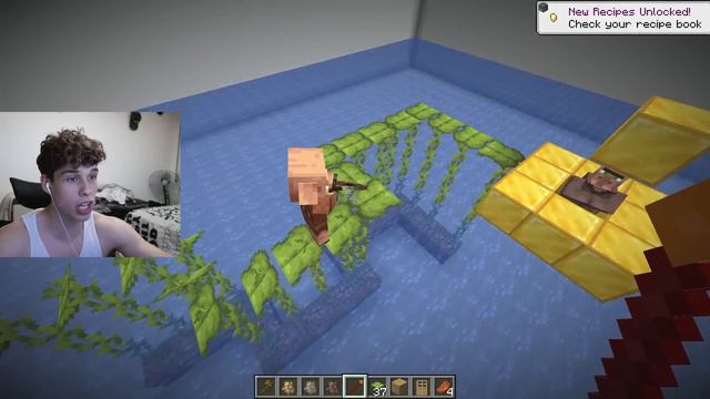Creé una Guerra Mundial de Mobs en Minecraft! смотреть онлайн