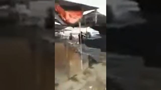 Каракол базары шок так ортосу смотреть онлайн