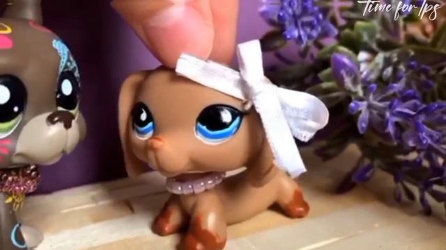 Lps mv ~Bored~ F.T //Time for lps&Mioki lps\\ смотреть онлайн