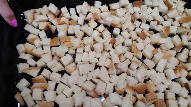 Зоопарк и Дикие Животные