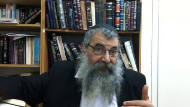 Ваеце 9. Сыновья Яакова как его подобие. Аллегория и внутренний смысл. смотреть онлайн