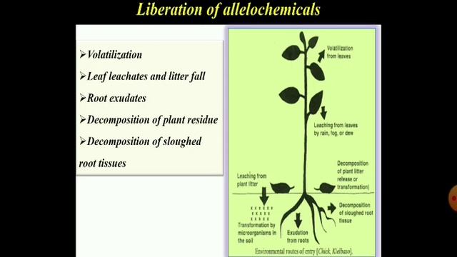 Allelopathy, types, sources, induction, liberation and forms all in 25 minutes смотреть онлайн