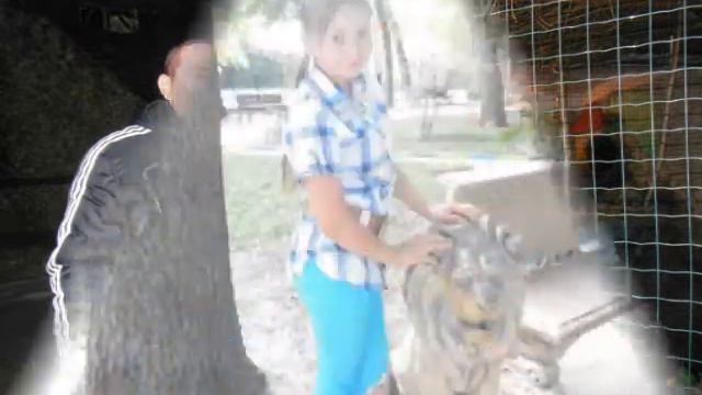 te iubesk tati&loredana.. смотреть онлайн