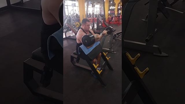 Подъем штанги 55 кг. на бицепс на скамье Скотта. #armlifting #training #армлифтинг #gym #бицепс