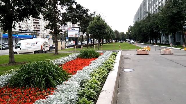 Красивые цветы на Марксисткой улице. Москва. смотреть онлайн