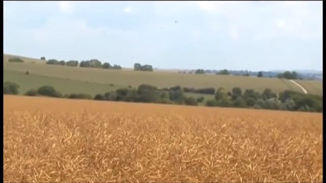 РИСУНКИ НА ПОЛЯХ.ПИСЬМА ИЗ КОСМОСА смотреть онлайн