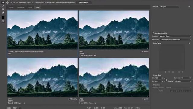 Adobe Photoshop Image Optimization for Web смотреть онлайн