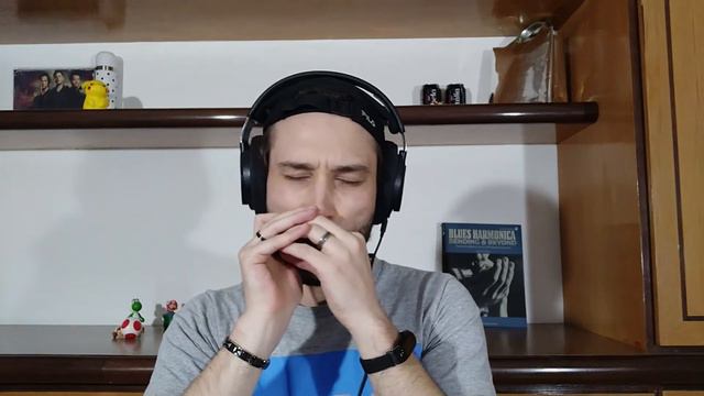 From The West - Indiara Sfair harmonica cover смотреть онлайн