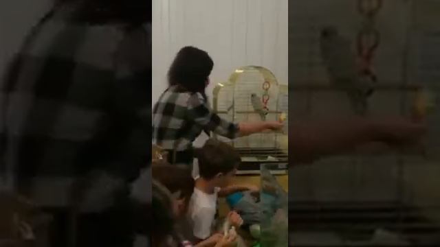 Посещение Живого уголка смотреть онлайн