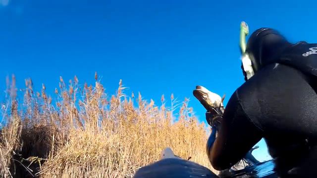 Промах по зачетной щуке и яма с карасями смотреть онлайн