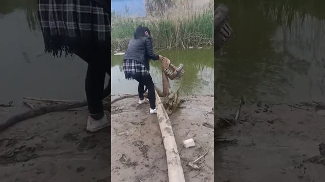 Top diy mini water pump, diy tractor mini well water pump,diy tractor mini double water | water pum смотреть онлайн