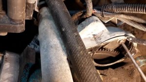 ЗАМЕНА САЛЬНИКОВ И РЕМНЯ ГРМ НА СЕНС ЗАЗ