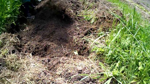 Дорожка вдоль грядки смотреть онлайн