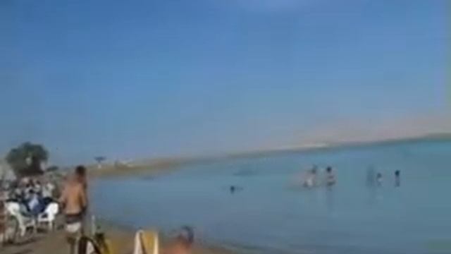 Swimming in Dead Sea смотреть онлайн
