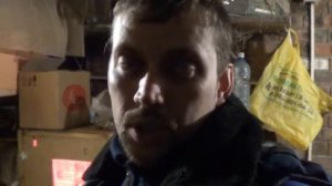 Содержание бройлеров и индюков вместе// Новая партия птицы