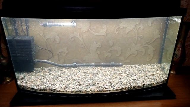 Запуск аквариума часть 1 смотреть онлайн