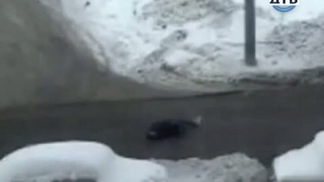 Дорожные войны 5 серия смотреть онлайн