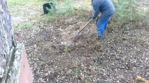 Быстро чистим торфяной туалет