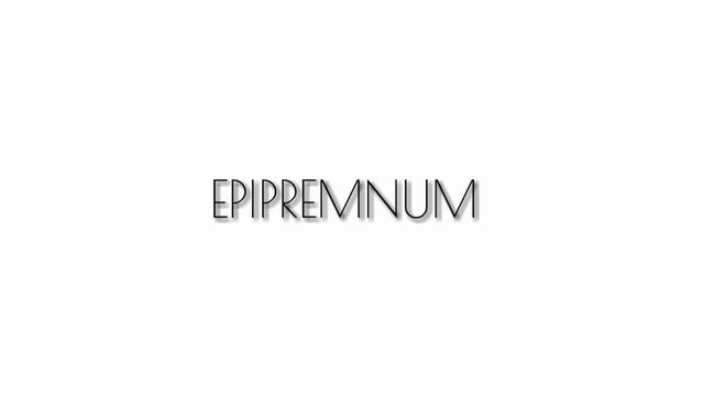 Pothos variety|Epipremnum Aureum|Scindapsus pictus|my pothos collection смотреть онлайн
