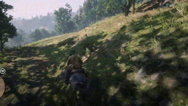 RDR2. Сюжет #79. Визиты ко вдове Шарлотте и Хэмишу. смотреть онлайн