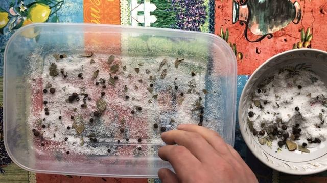 Зоопарк и Дикие Животные