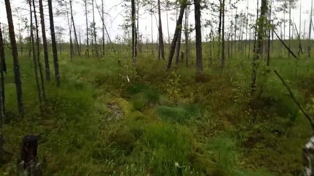 Вездеход чибис доставляет нас с точки А в точку Б смотреть онлайн