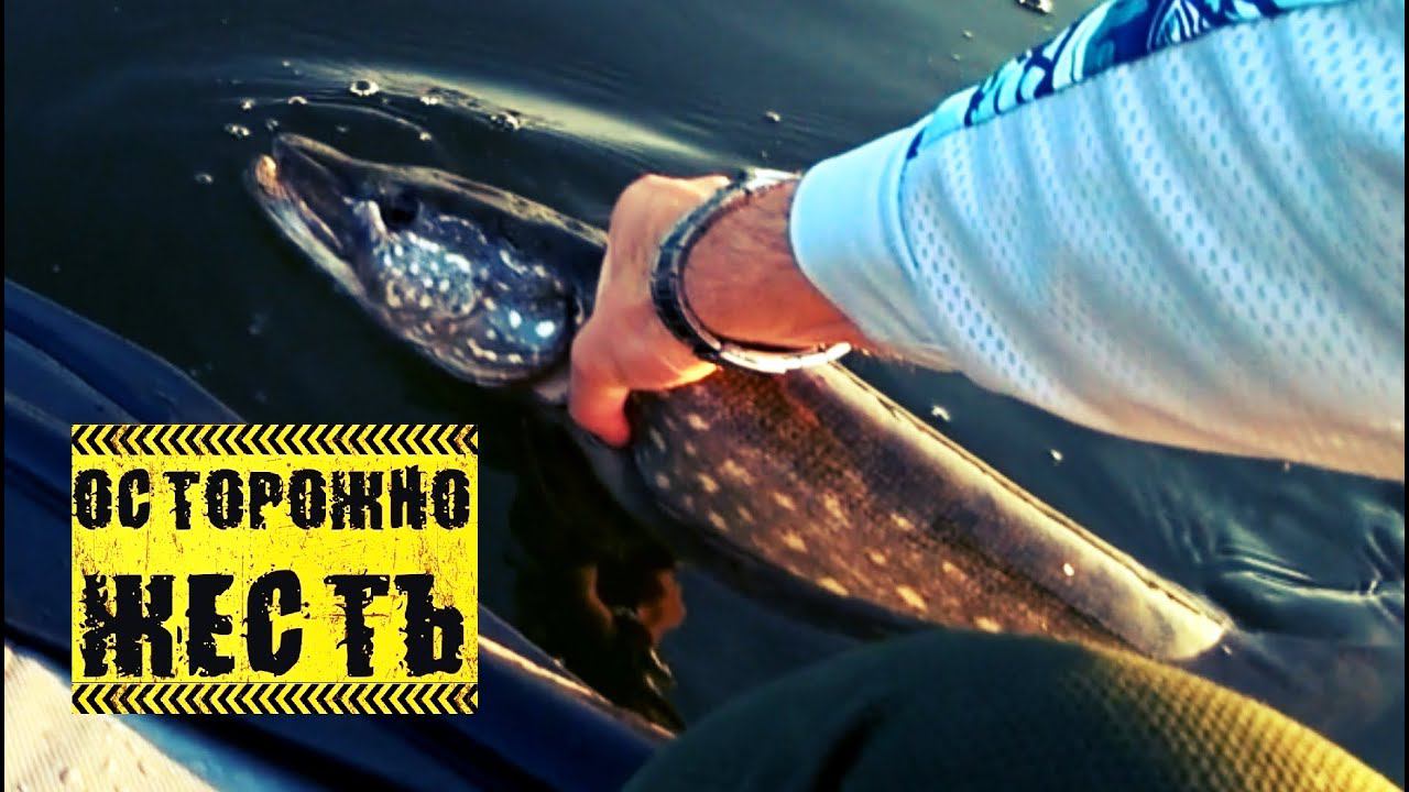 Очень НЕОБЫЧНАЯ рыбалка! Таким СПОСОБОМ ещё не ловил! Hearty Rise Jig Force 762ML 7-28 смотреть онлайн