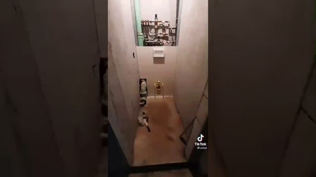 Ремонт в маленьком туалете смотреть онлайн