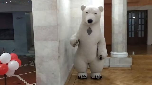 Белый медведь на Ваш праздник! смотреть онлайн