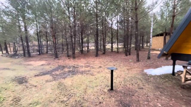 12 ноября 2023 г. смотреть онлайн