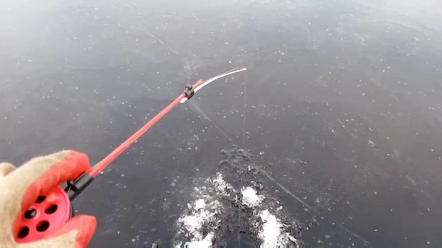 Первый Лёд. Сезон 2021-2022 ОТКРЫТ. Челябинск.Ротанов На Жареху Поймал смотреть онлайн