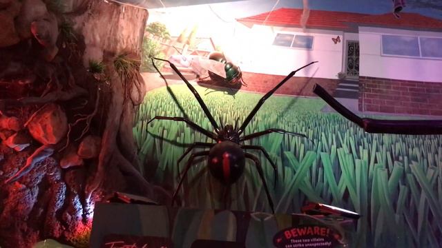 Spider World - Australian Reptile Park смотреть онлайн