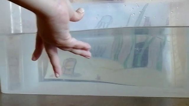 Уход за красноухой черепахи