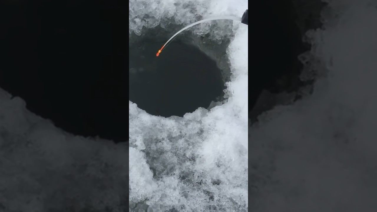 Ротан чуть не уволок удочку смотреть онлайн