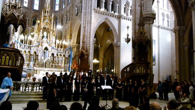 Coro Municipal de Cámara Ernesto Storani - Basilica Nuestra Señora de Luján смотреть онлайн