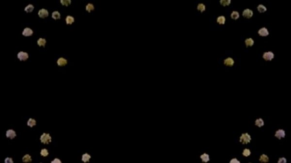 Спокойной ночи малыши Low voice G major 4 rever